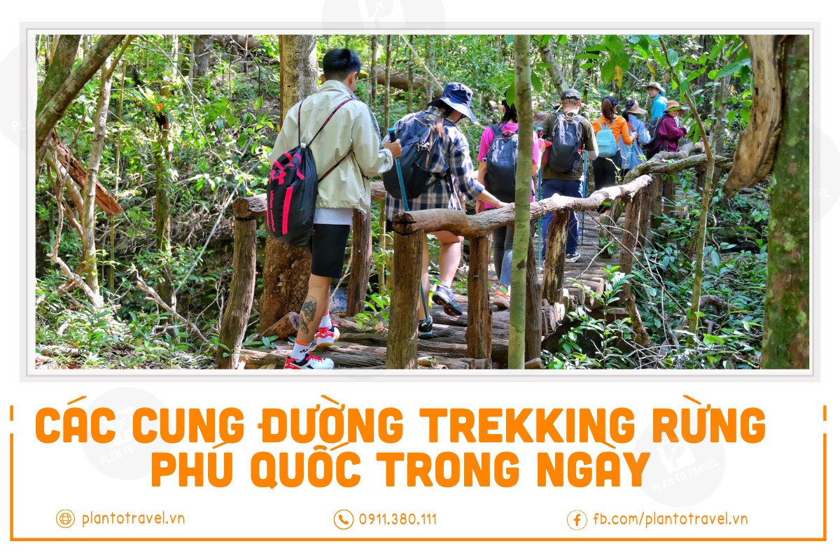 Các cung đường trekking rừng Phú Quốc trong ngày