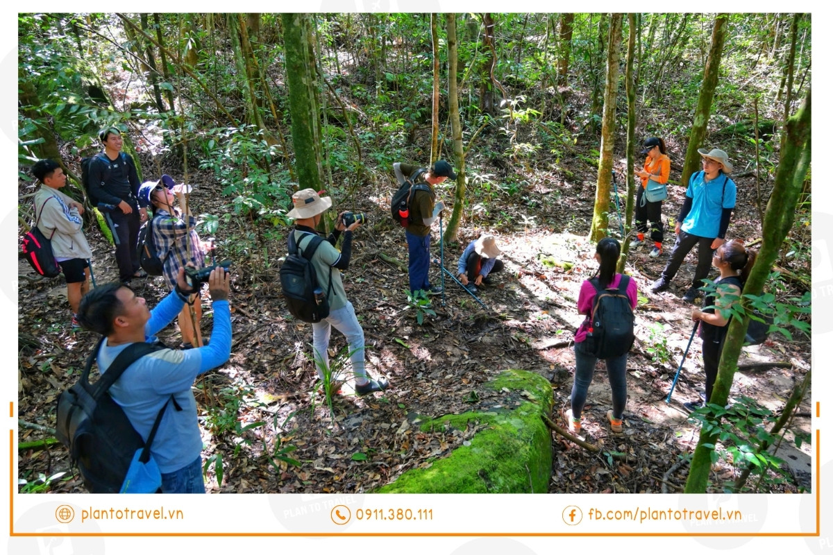 Cung trekking trung tâm Vườn Quốc gia Phú Quốc