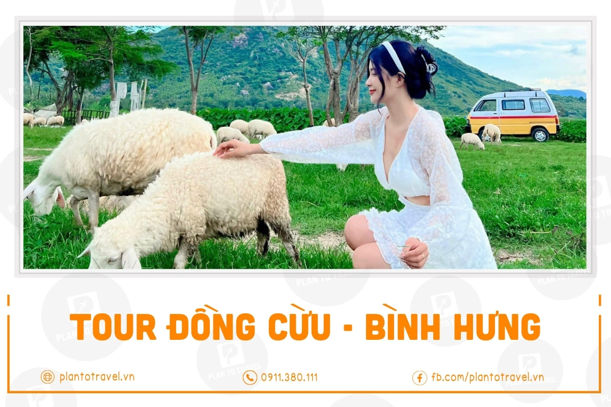 Tour Đồng Cừu - Bình Hưng