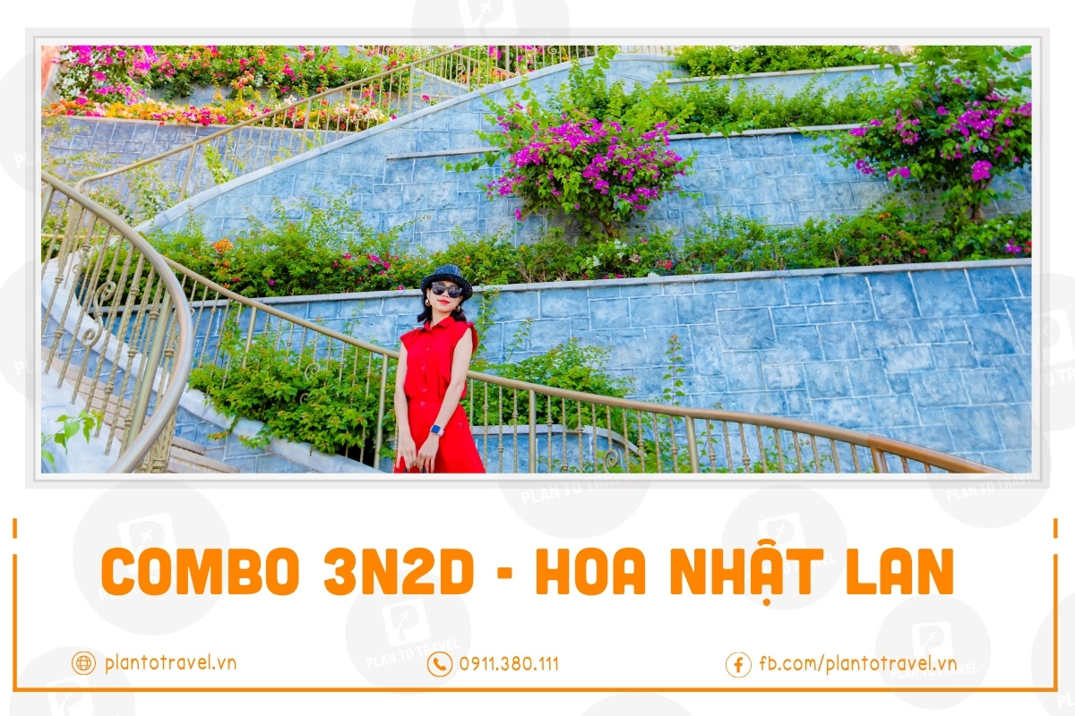 Combo 3N2Đ Hoa Nhật Lan trải nghiệm thú vị nhiều ưu đãi