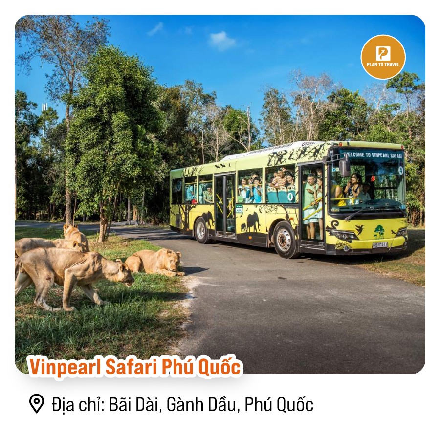 Vinpearl Safari Phú Quốc - Điểm du lịch đặc sắc tháng 10