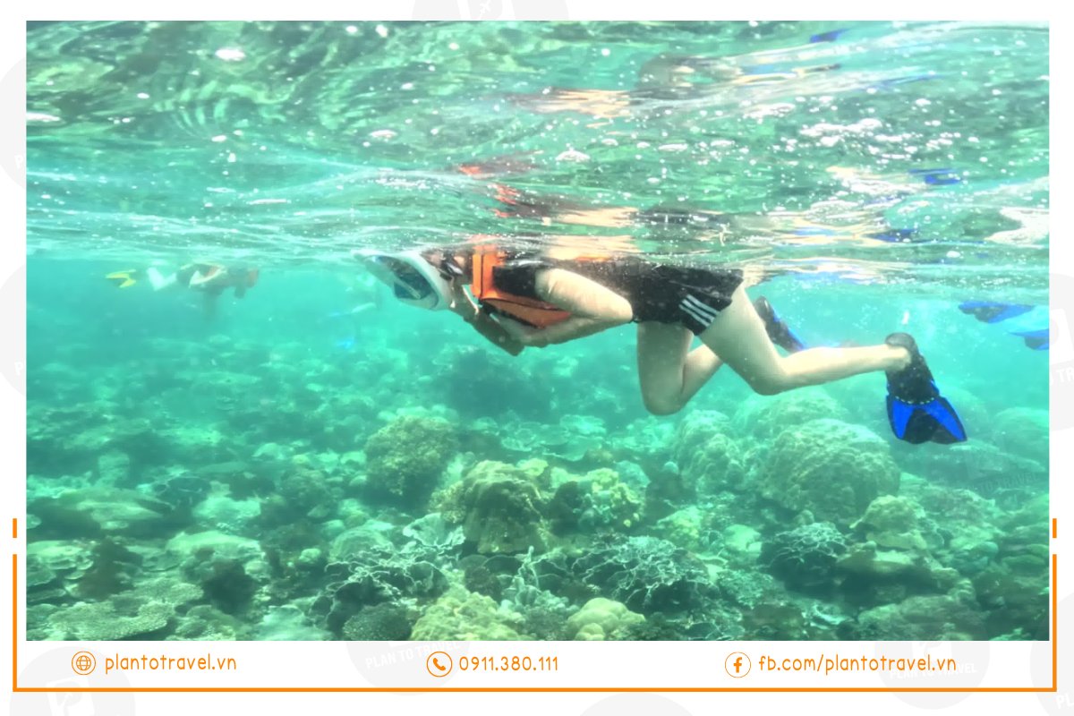 Trải nghiệm lặn ngắm san hô, snorkeling chuyên nghiệp tại Phú Quốc