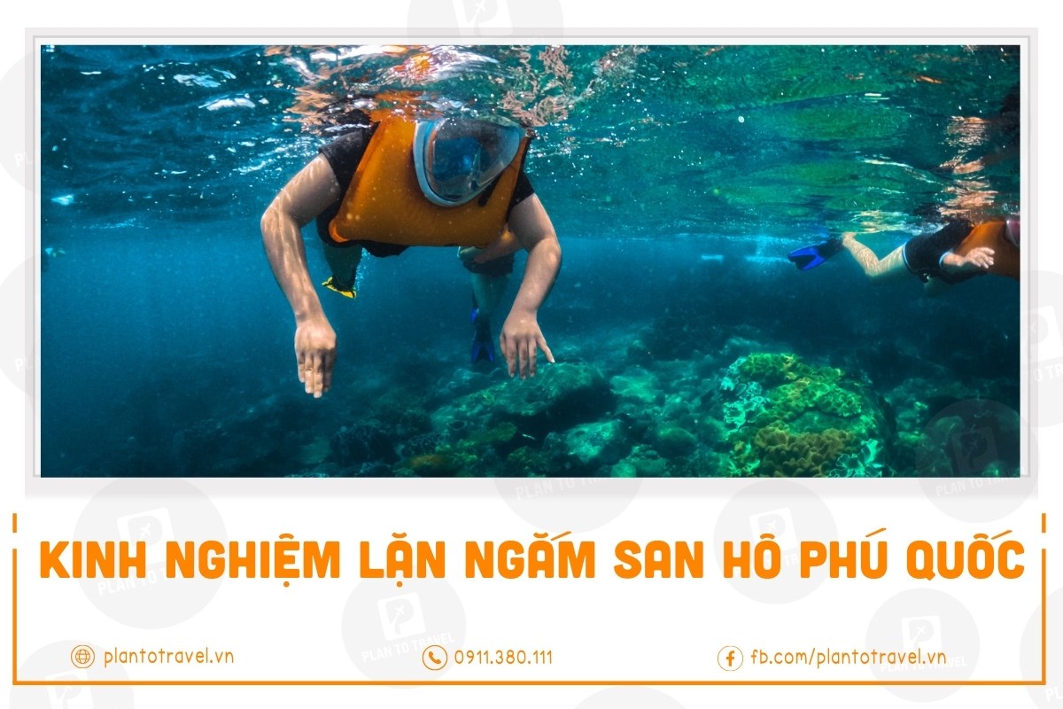 Kinh nghiệm lặn ngắm san hô Phú Quốc [Chia sẻ trải nghiệm thực tế]