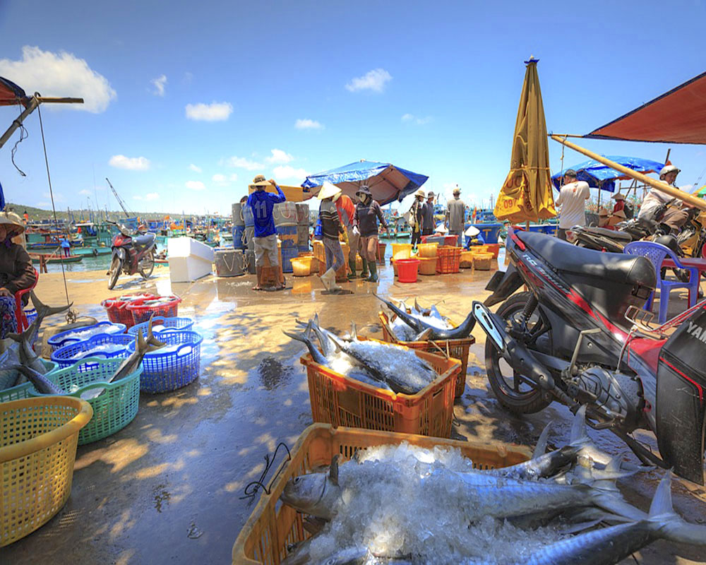 Chợ Hàm Ninh đầy ắp thuyền bè và các tiểu thương
