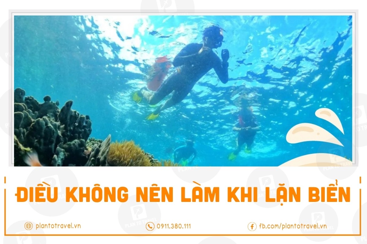 [Bật mí] Những điều tuyệt đối không nên làm khi lặn biển