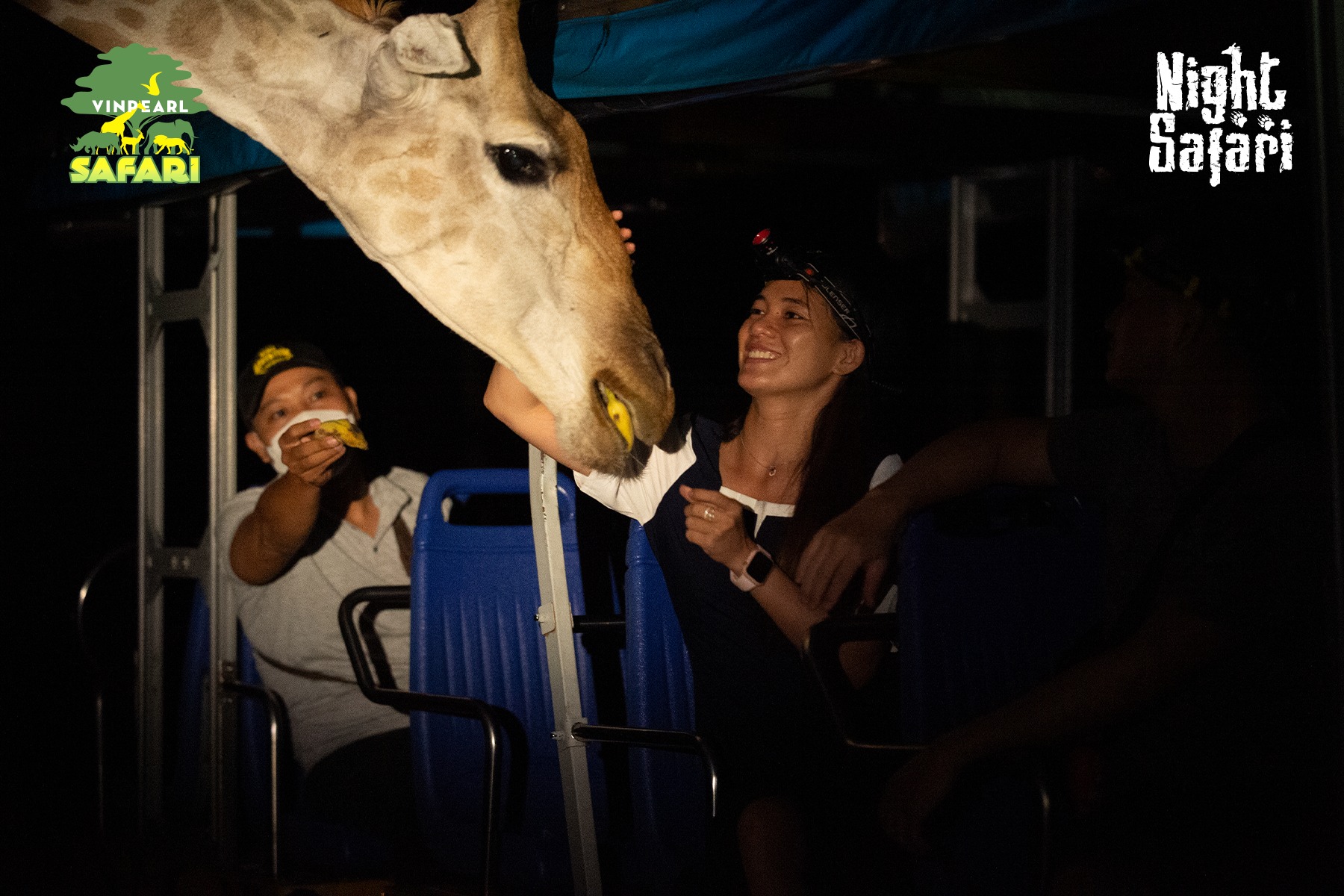 Trải nghiệm thăm vườn thú Safari về đêm