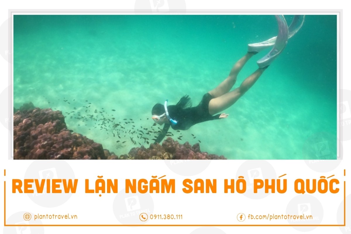 Review lặn ngắm san hô Phú Quốc | Trải nghiệm chân thực nhất