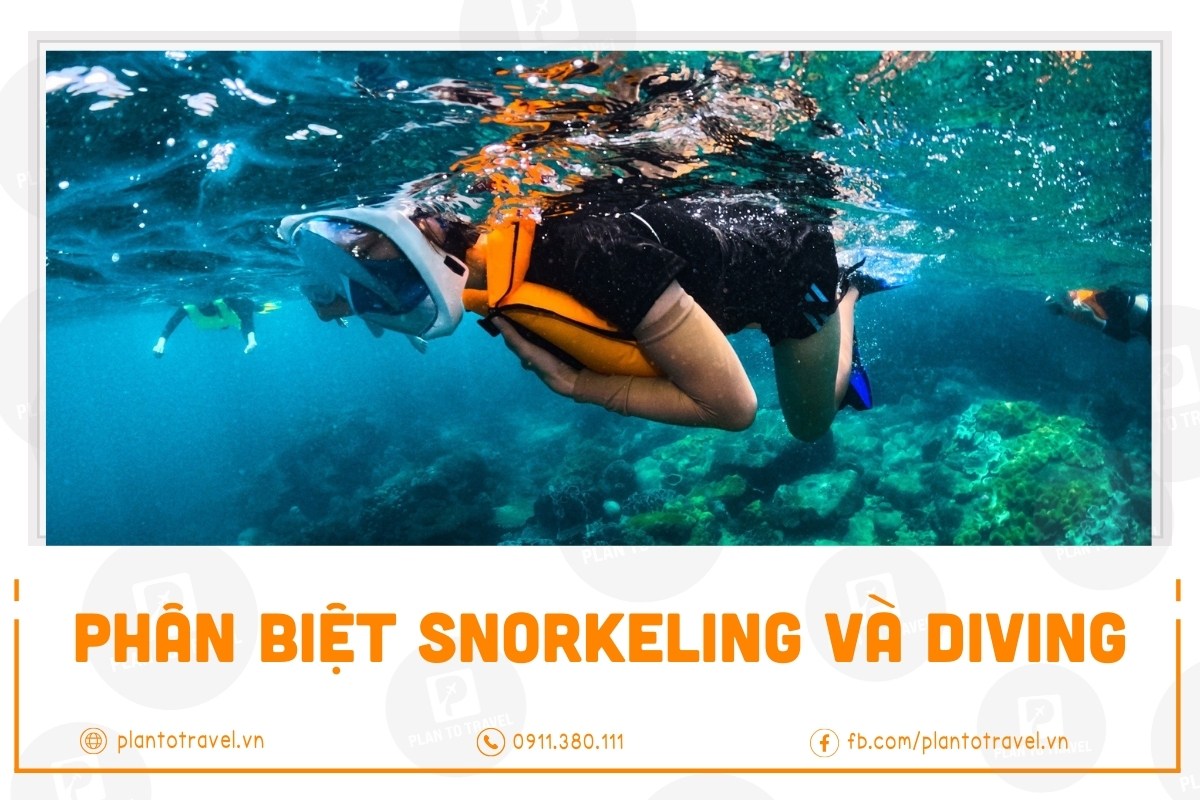 Snorkeling & Scuba diving | Phân biệt lặn biển ống thở và lặn bình dưỡng khí