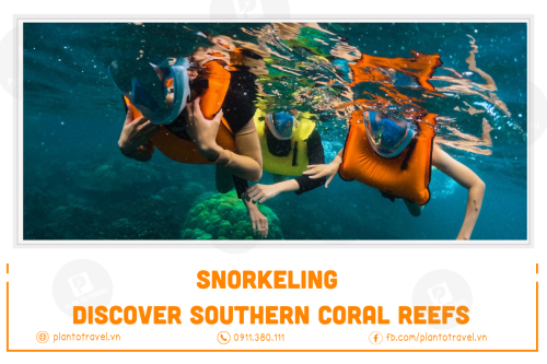 Snorkeling: Discover Southern, Northern Coral Reefs