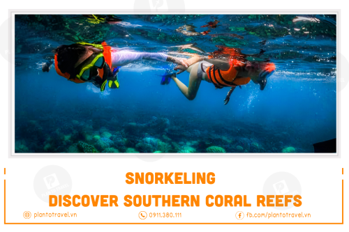 Snorkeling: Discover Southern, Northern Coral Reefs