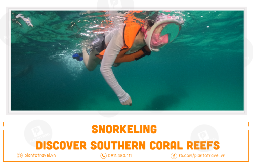 Snorkeling: Discover Southern, Northern Coral Reefs