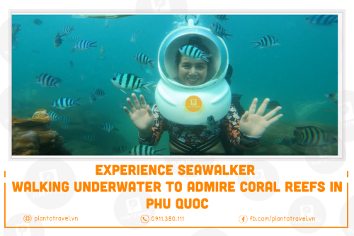 Experience Seawalker - Walking Underwater to Admire Coral Reefs in Phu Quoc