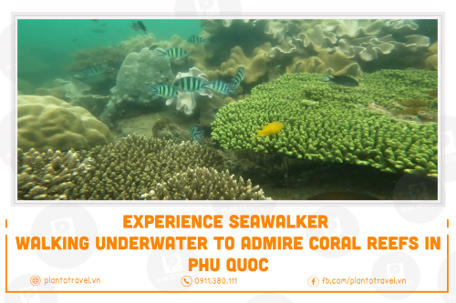 Experience Seawalker - Walking Underwater to Admire Coral Reefs in Phu Quoc