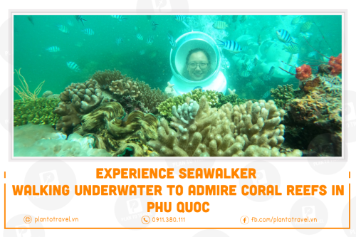 Experience Seawalker - Walking Underwater to Admire Coral Reefs in Phu Quoc