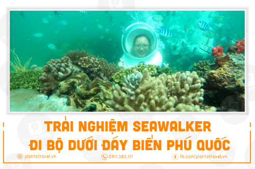 Trải nghiệm Seawalker - Đi bộ dưới đáy biển ngắm san hô tại Phú Quốc