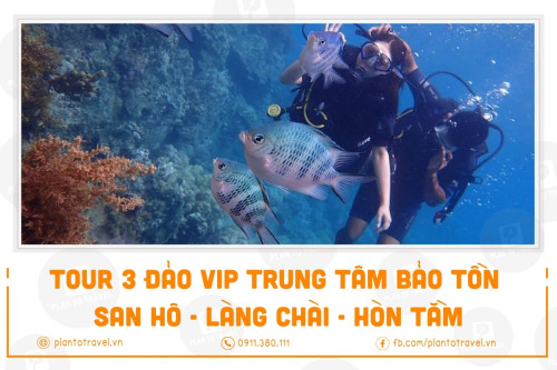 Tour 3 đảo VIP Trung tâm bảo tồn san hô - Làng Chài - Hòn Tằm