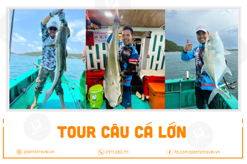 Tour câu cá lớn