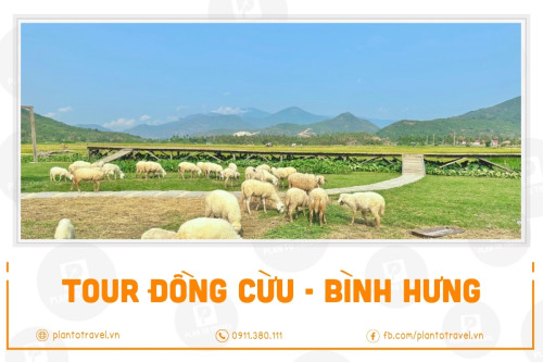 Tour Đồng Cừu - Bình Hưng