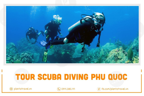 Tour Scuba Diving Phú Quốc