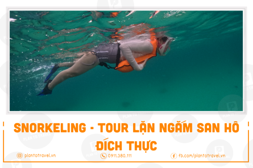 Snorkeling - Tour lặn ngắm san hô đích thực tại Phú Quốc