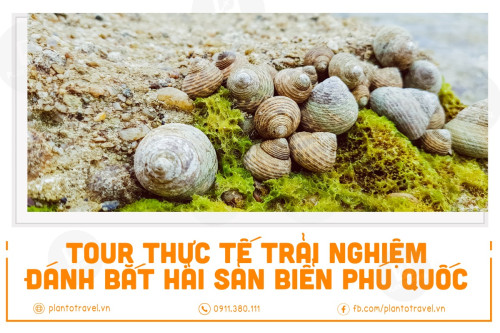 Tour thực tế trải nghiệm đánh bắt hải sản biển Phú Quốc