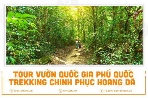 Tour Trekking Vườn Quốc Gia - Tham quan rừng giống- Nhà bảo tàng động thực vật