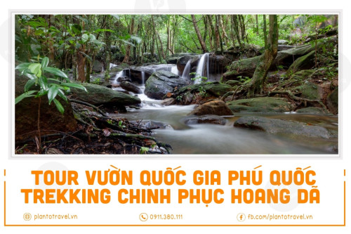 Tour Trekking Vườn Quốc Gia - Tham quan rừng giống- Nhà bảo tàng động thực vật