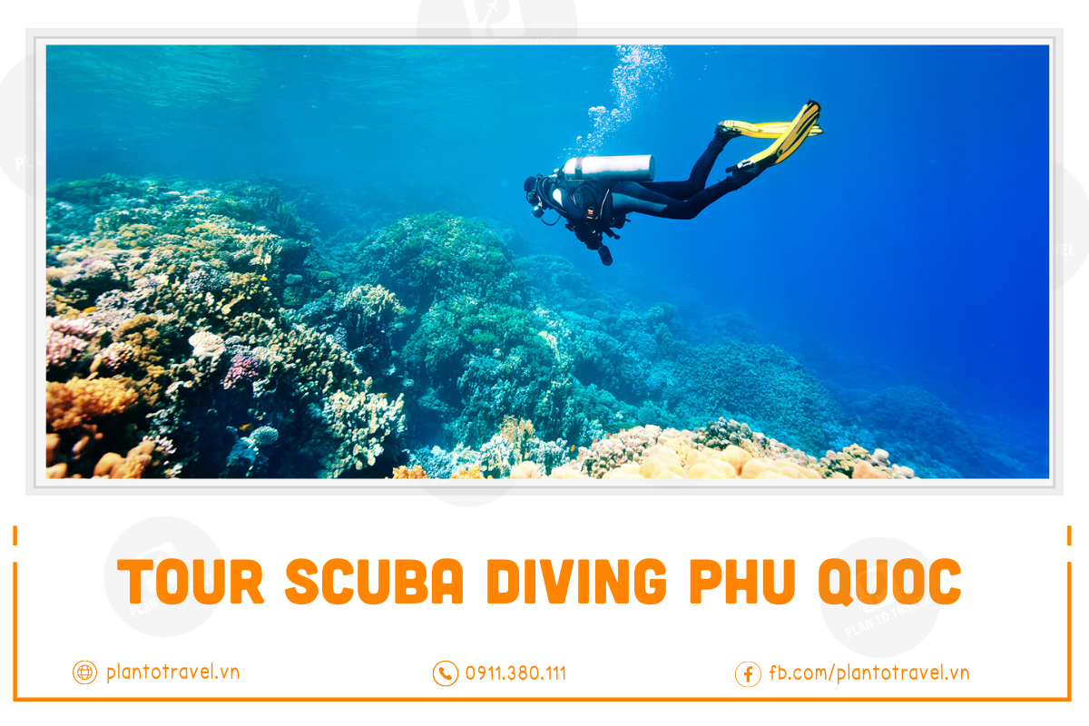 Tour Scuba Diving Phú Quốc