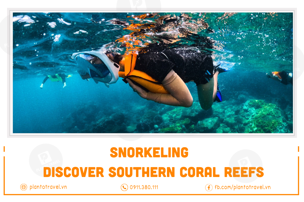 Snorkeling: Discover Southern, Northern Coral Reefs