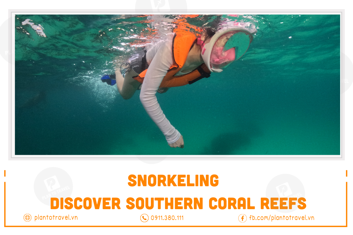 Snorkeling: Discover Southern, Northern Coral Reefs