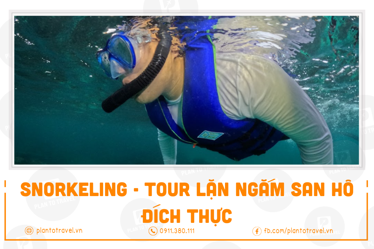 Snorkeling - Tour lặn ngắm san hô đích thực tại Phú Quốc