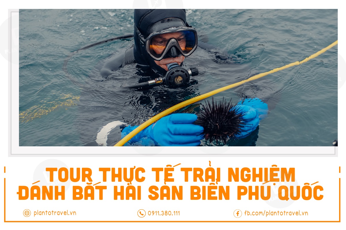 Tour thực tế trải nghiệm đánh bắt hải sản biển Phú Quốc